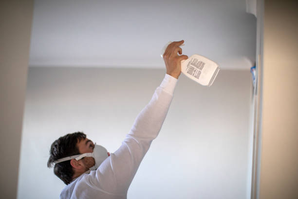 Best Toxic Mold Removal  in New Lno, LA