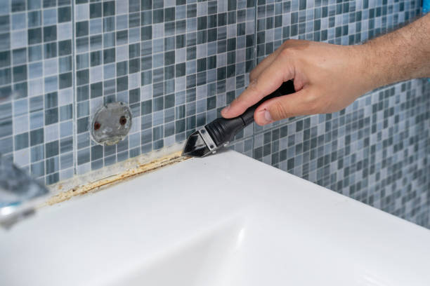 Best Mold Removal Near Me  in New Lno, LA