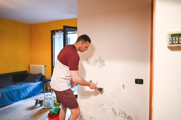 Best Black Mold Removal  in New Lno, LA